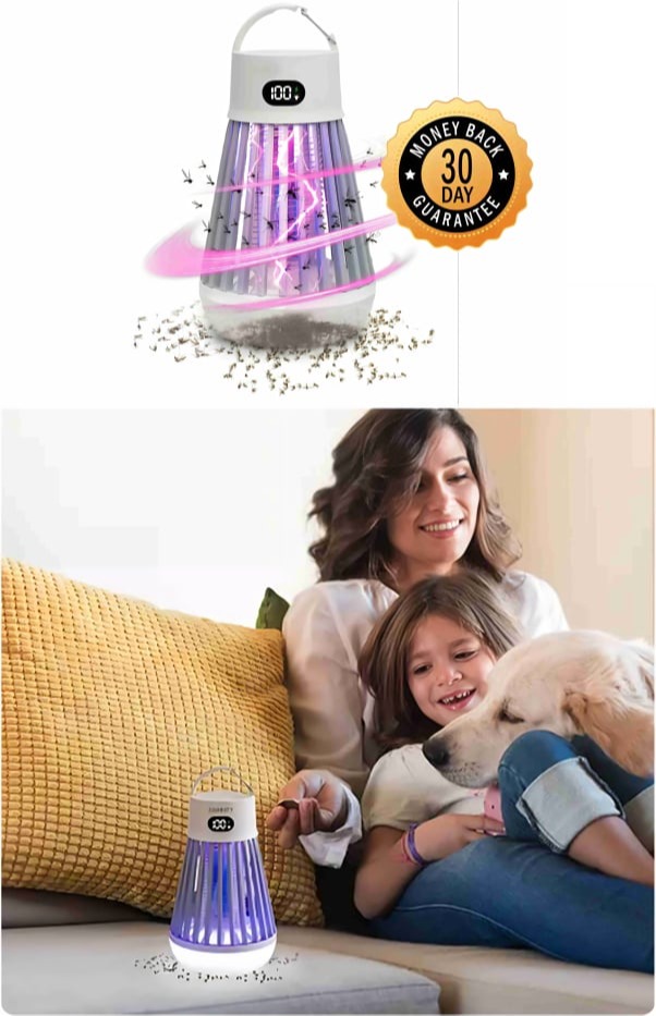 What is Zappify