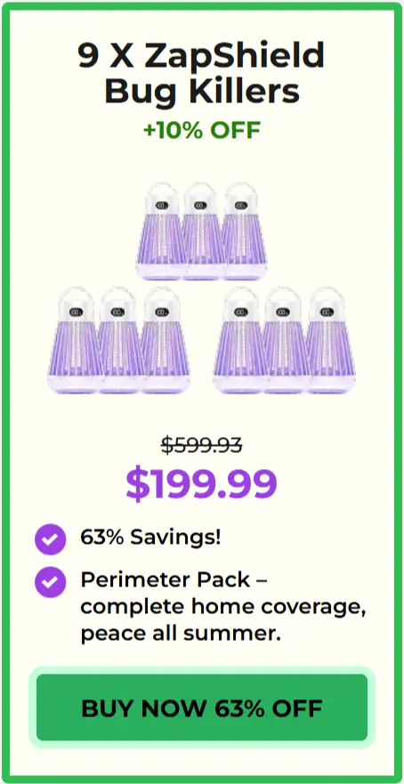 Zappify package price 